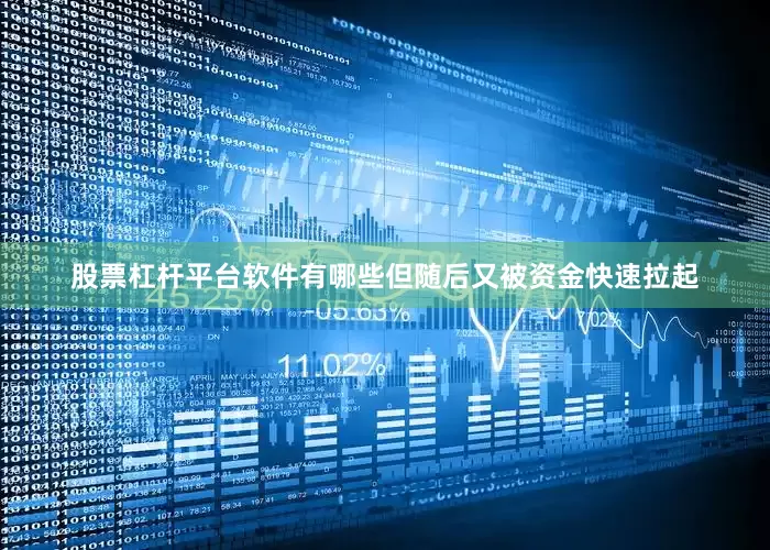 股票杠杆平台软件有哪些但随后又被资金快速拉起