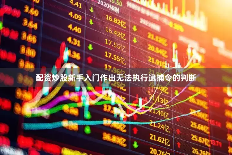 配资炒股新手入门作出无法执行逮捕令的判断