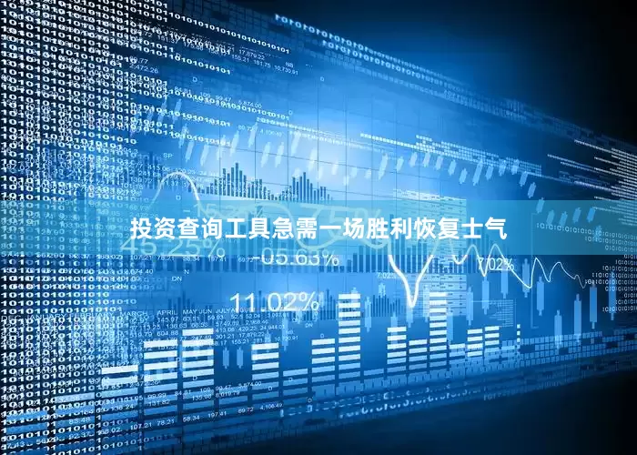 投资查询工具急需一场胜利恢复士气