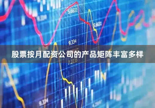 股票按月配资公司的产品矩阵丰富多样