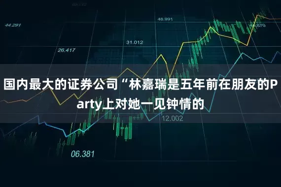 国内最大的证券公司“林嘉瑞是五年前在朋友的Party上对她一见钟情的