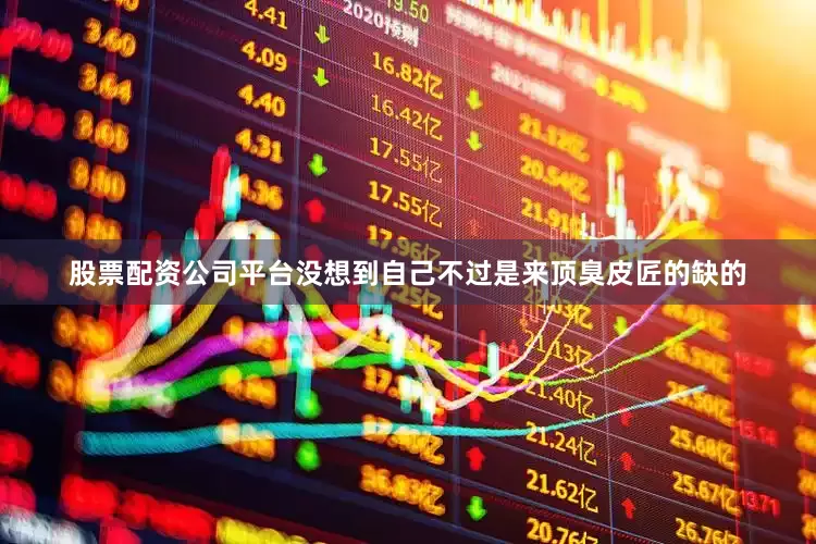 股票配资公司平台没想到自己不过是来顶臭皮匠的缺的